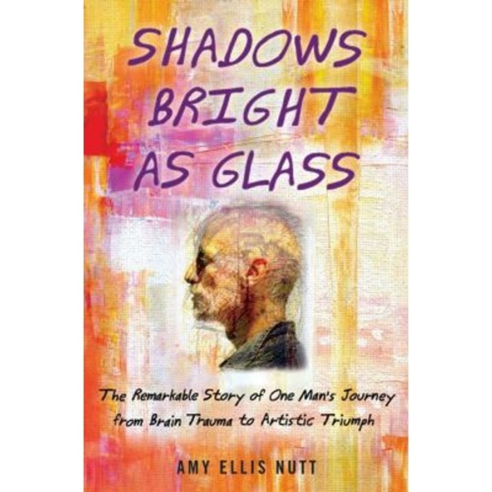 Shadows Bright as Glass : The Remarkable Story of One Man's Journey from...